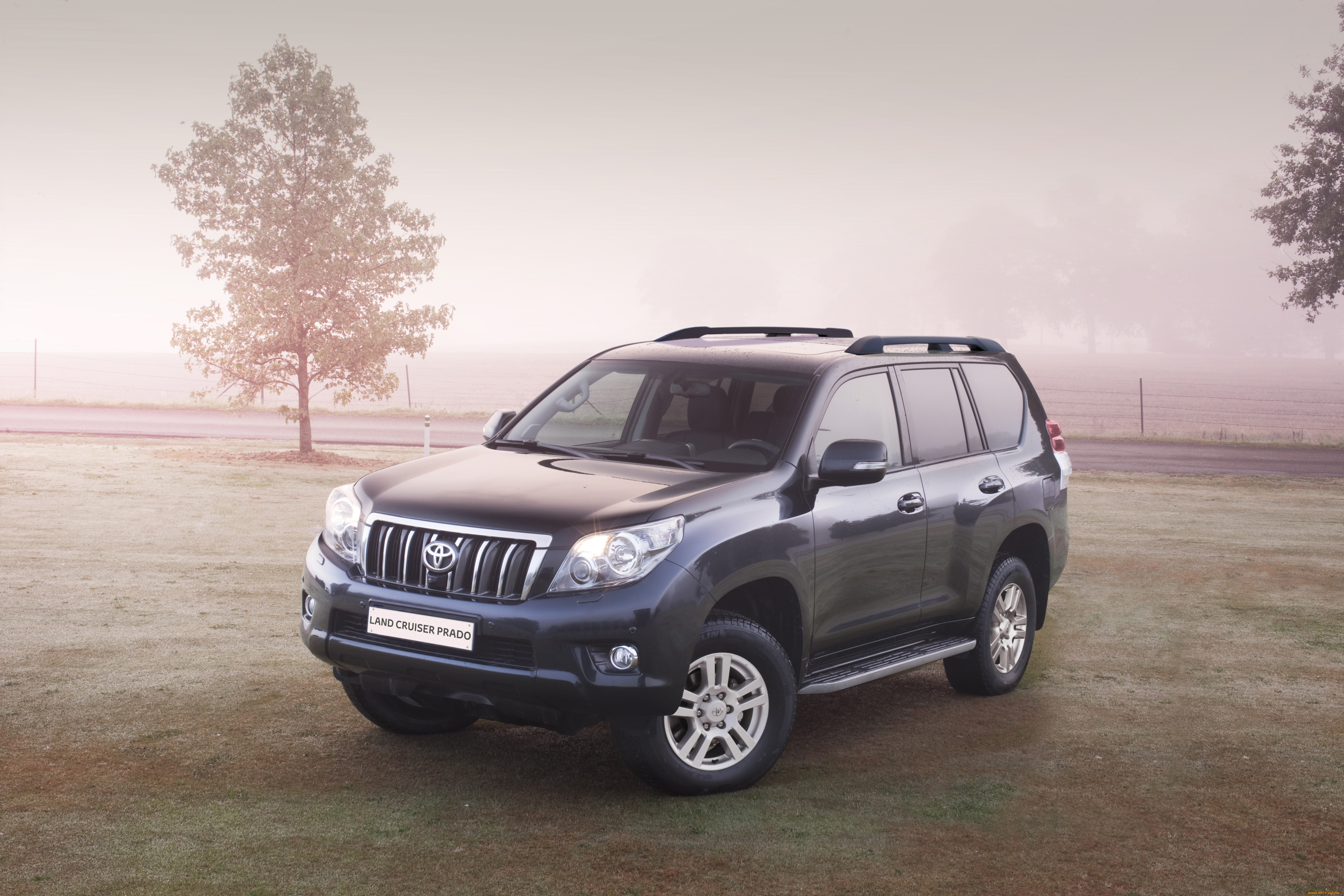 , toyota, life, prado